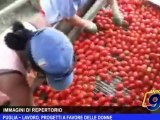 Puglia | Lavoro, progetti a favore delle donne