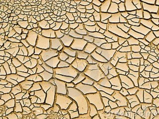 Le Grand Projet du Sauveur, Les Enigmes du Coran