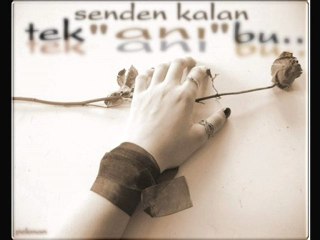 Zeki ERDEM        "KAR ÇİÇEĞİM"