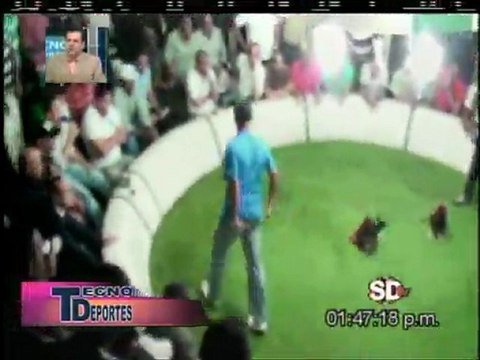 2da Parte Programa TECNODEPORTES - Jugada Canta Gallo por Manuel Perelló.-