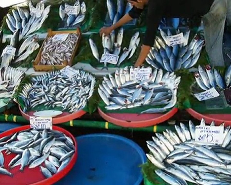 BAŞKA İSTANBUL YOK... Namık SALİH...