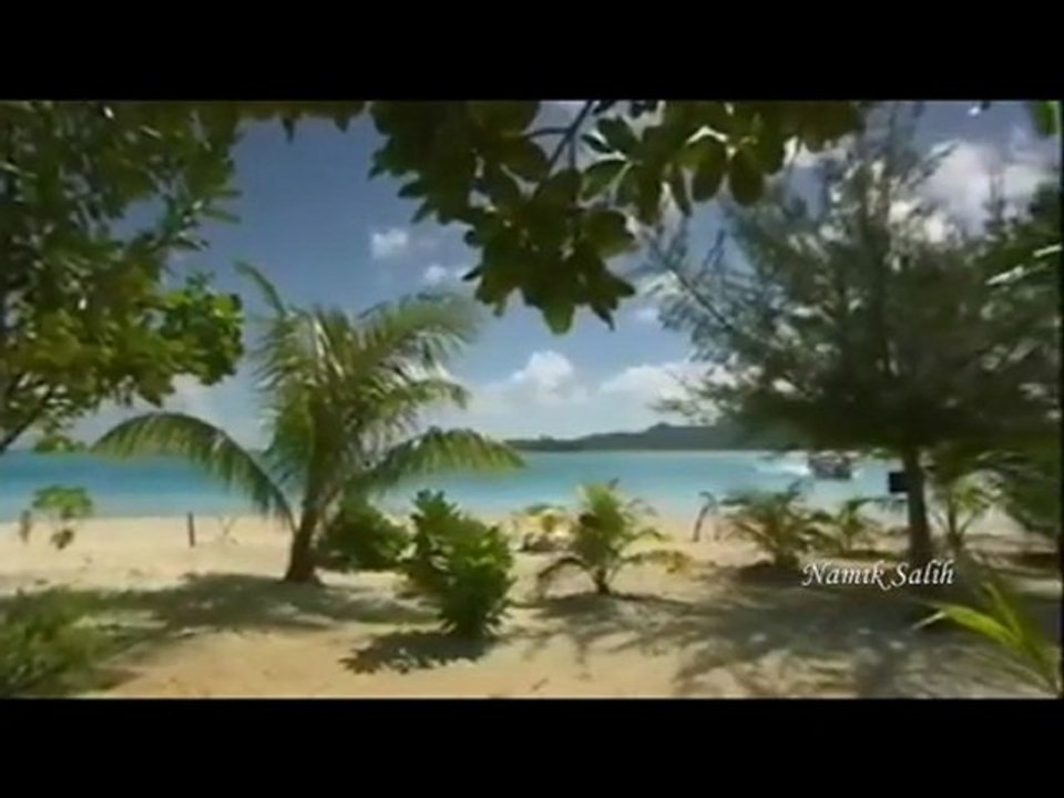 BAZI ŞEYLERİ BECEREMEDİM... Namık SALİH...