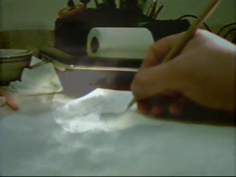 BİR DAHAKİ BAHARA KADAR... Namık SALİH...