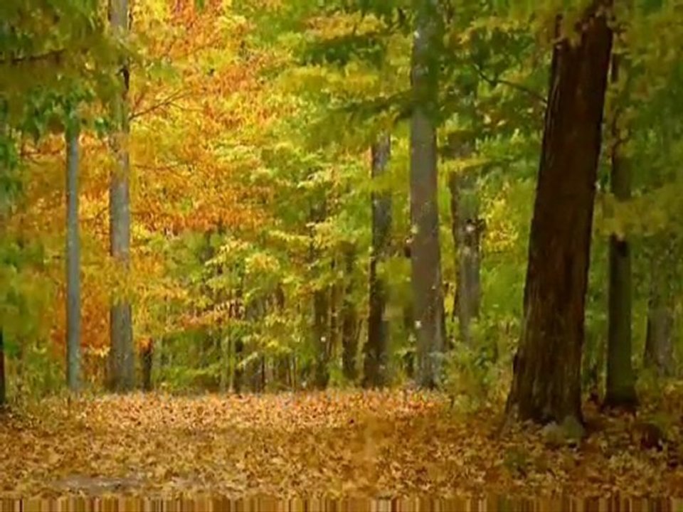 BİR GECE DAHA KAL... Namık SALİH...