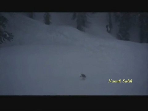 BİR GÜN SENDE UNUTURSUN... Namık SALİH...