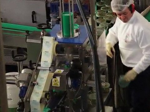 Aceitunas y encurtidos - Vicálvaro, Madrid - Aceitunas Guerra