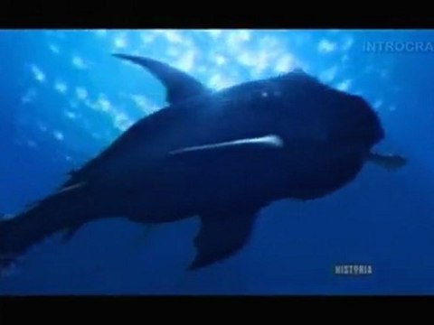 Bêtes de Légende, Dakuwaqa, Le Dieu-Requin - 3 de 3