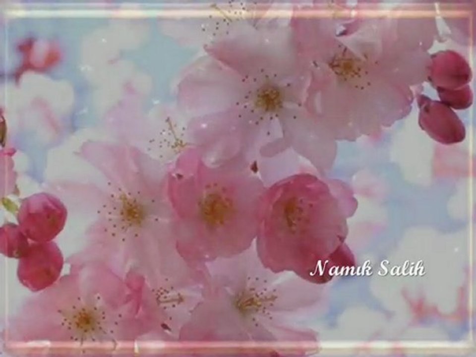 BİRZ ÖZGÜRLÜK GETİRİN BANA... Namık SALİH...