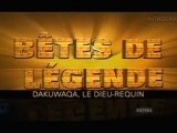 Bêtes de Légende, Dakuwaqa, Le Dieu-Requin - 1 de 3