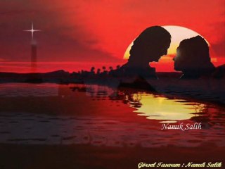 HER ŞEYE RAĞMEN... Namık SALİH...