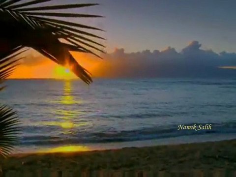 HİÇ TERKETMEDİ HAYALİN BENİ... Namık SALİH...