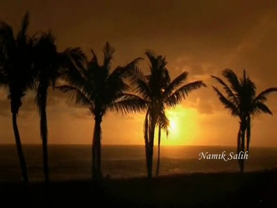 LÂL OLDu DİLİM SUSTUM... Namık SALİH...