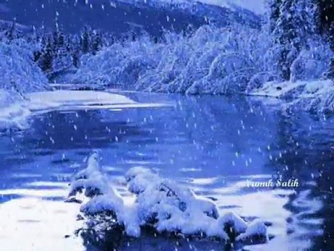 ÖYLE BİR SEV Kİ... Namık SALİH...