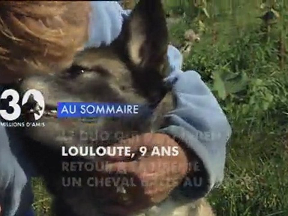 Sommaire émission 30 Millions d'Amis 25/3/2012