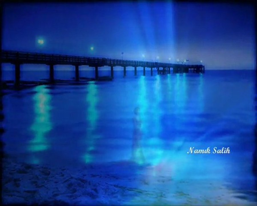 SEVGİYLE... Namık SALİH...