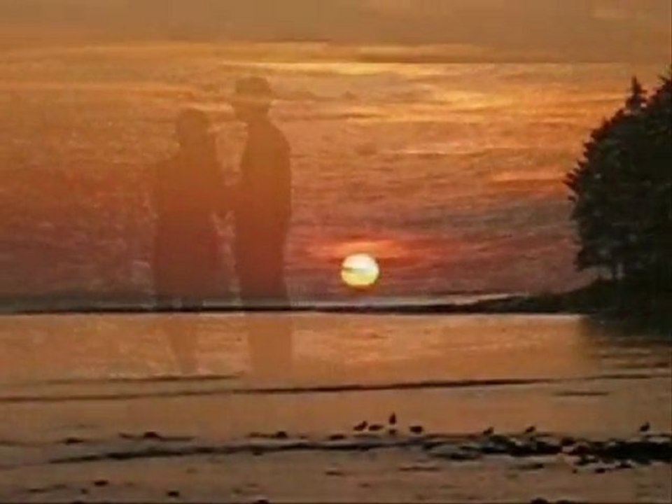 YİNE SENİ YAZIYORUM... Namık SALİH...