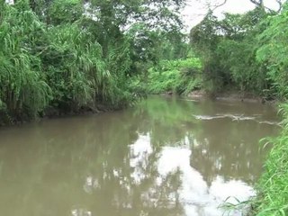 Falta agua tras derrame de crudo en Venezuela