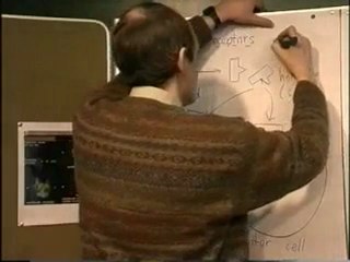 Endocrine System Part 1