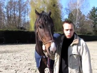 Nouveau départ pour les écuries de Chauffry