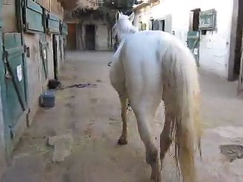 Dimanche 11 mars 2012, Cigalon et moi en revenant de la douche !!