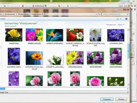 8 видеоурок по сайтостроению