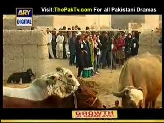 Desi Kuriyan Season 3 Episode 10 on Ary Digital - Part 2/3