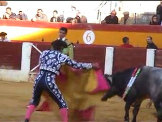 1 Novillada Cehegin-2012