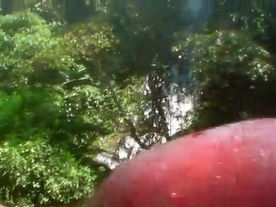 Rafting