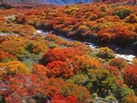 Ramirez - Misa Criolla-1 Kyrie- w_ Spanish_English text