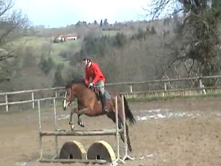 Challenge CSO MARS 2012 St just le Martel