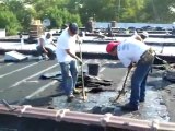 Bullfrog Builders Tar Shingle Roof Removal & Wood Repair -Day 1 Pt2