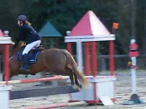 CSO Laos - 11 Mars 2012 - Mésange de Parne & Estelle