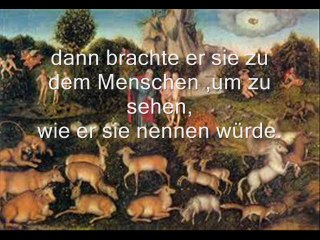 Filmclip Der Mensch im Paradies