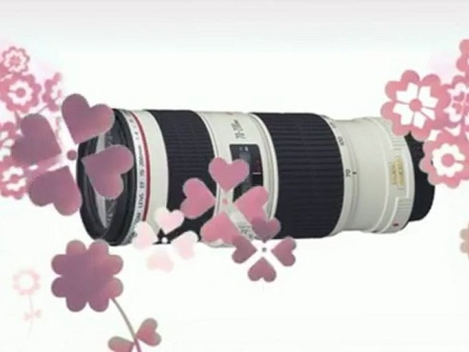 Best Price Review - Canon EF 70-200mm f 4L USM ...