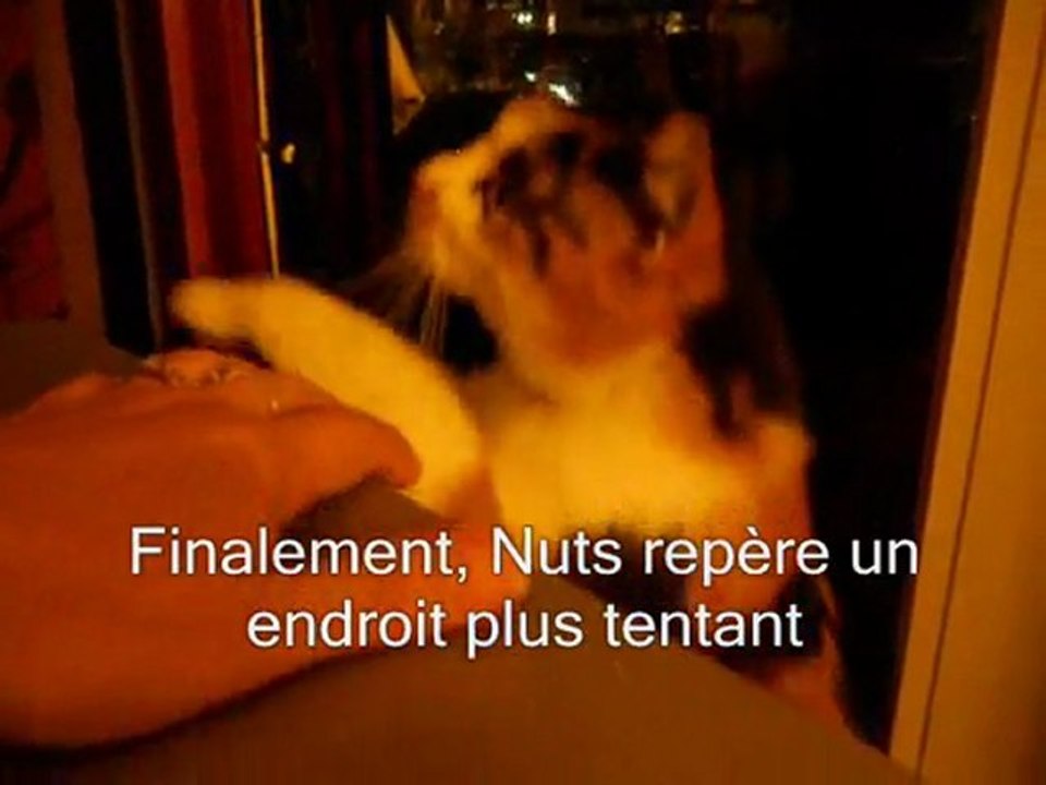 Nuts : le 2ème jour