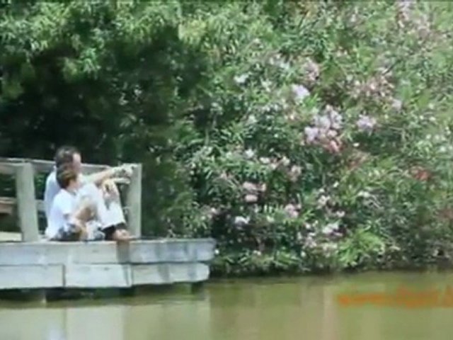 Become a professional trader, Professional Trader.