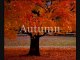 Four Seasons ~ Vivaldi - YouTube