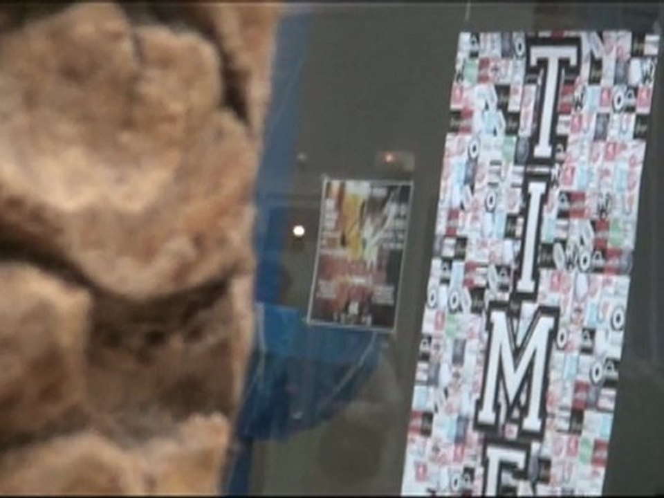 TIME 2012 - Who's NEXT ? - BDS SMRU - ESC Rennes