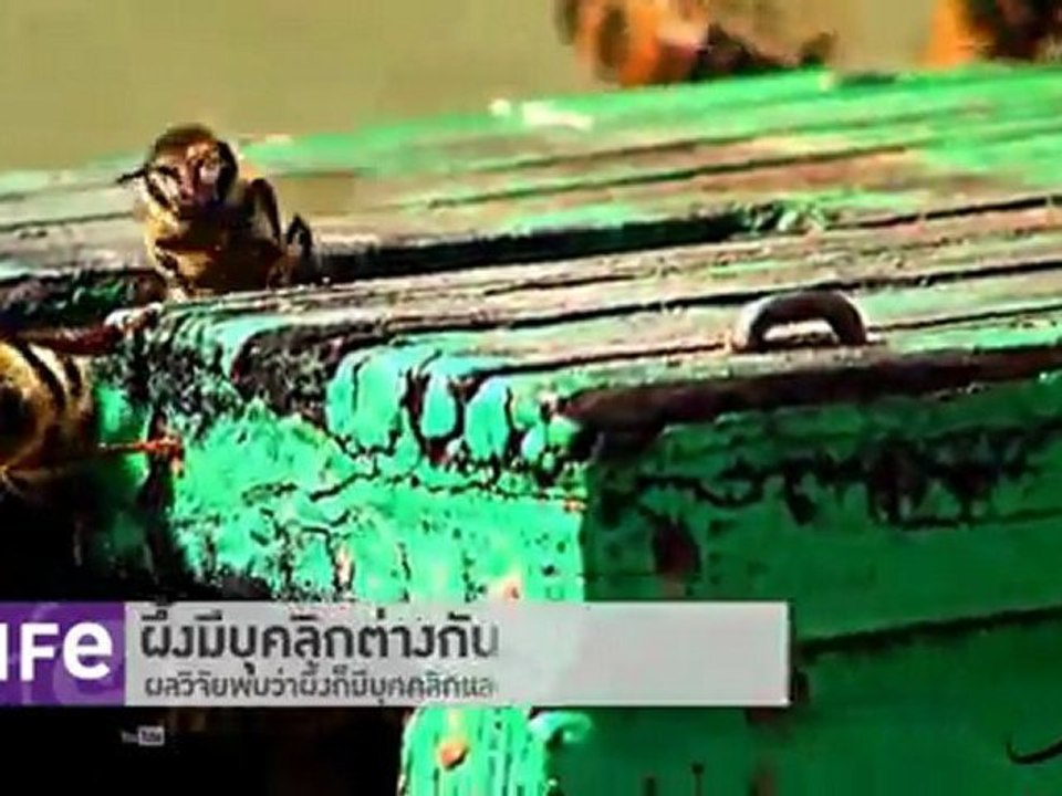 รายการ Life ประจำวันที่ 21 มีนาคม 2555 : กิจกรรมซิ่งรถสุดสัปดาห์