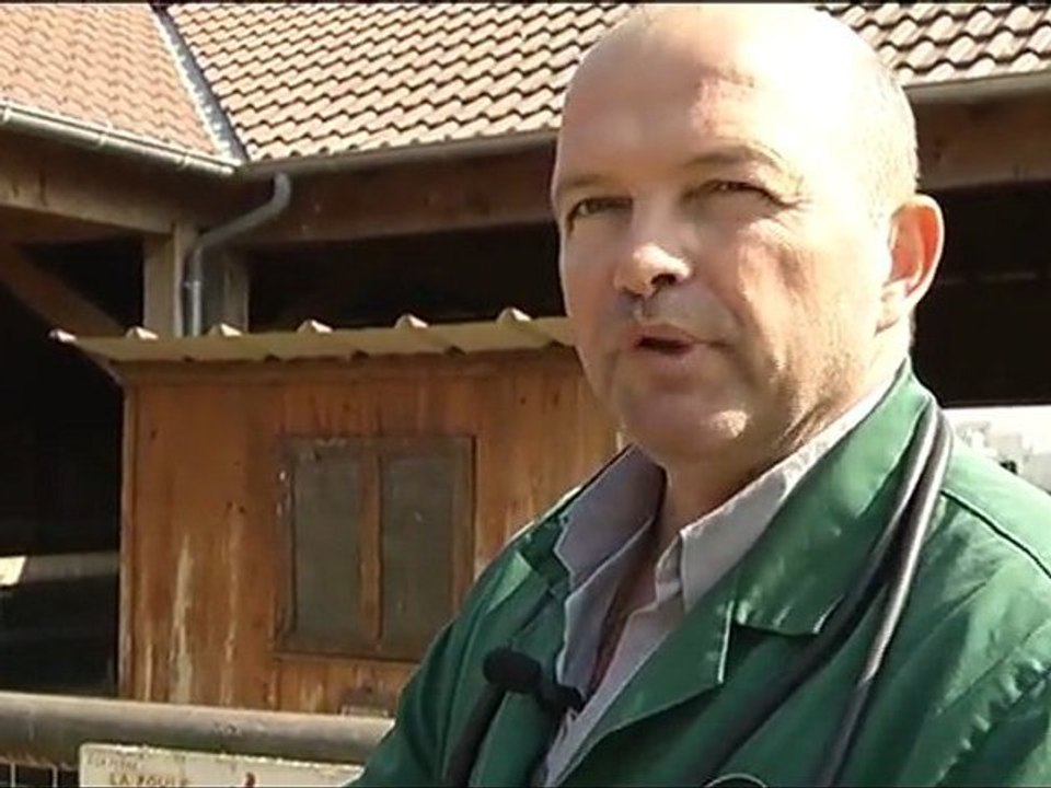 Bêtes d'Yvelines à la ferme de Gally