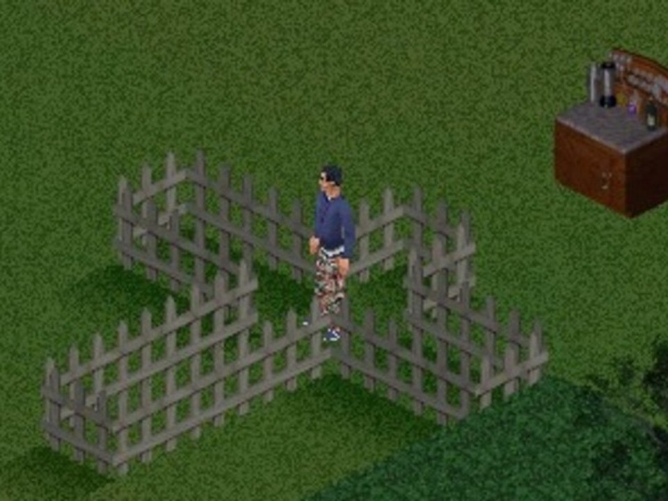 WTF Les Sims 29 - Avance rapide