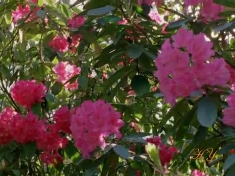 BEDİÜZZAMAN HAZRETLERİ HZ. MEHDİ'NİN HİCRİ 1400'DE GELECEĞİNİ BİLDİRMİŞTİR