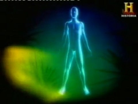 Miedos primarios: Serpientes