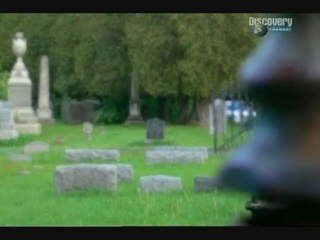 HISTORIAS DE ULTRATUMBA - El lado oscuro 2 5 Español