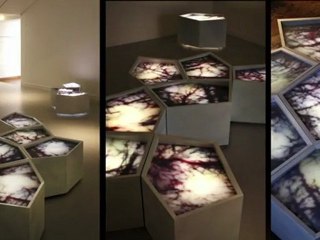 JEMA 2012 | Portrait : Ébéniste