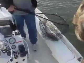 Myrtle Beach Best Fishing Charter