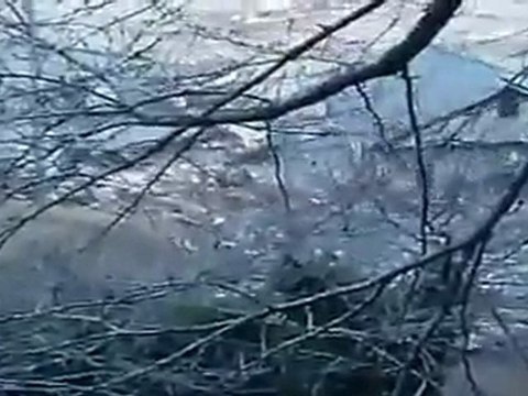 ドイツZDF フクシマのうそ- copy