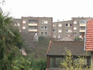 Suspect's link to Al-Qaeda investigated: Minister