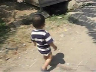 KAMBING DANGDUT version