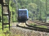 Züge südlich der Loreley, Alpha Trains-Crossrail 145, 152, 151, 3x 185, 2x 143, 460, 427